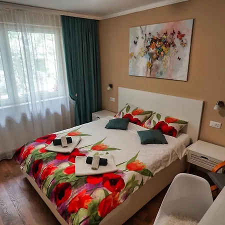 The Zen Den * Cluj-Napoca