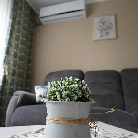 The Zen Den *