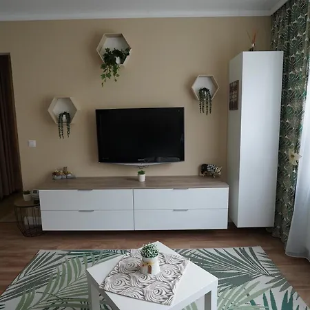 Apartment The Zen Den Cluj-Napoca