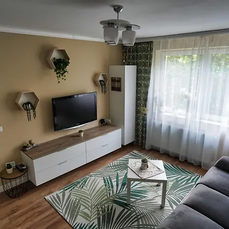 The Zen Den Apartment Cluj-Napoca